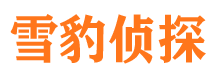 江源寻人公司